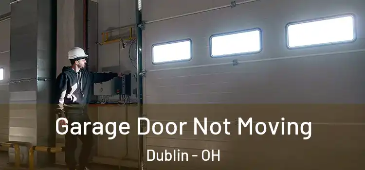  Garage Door Not Moving Dublin - OH